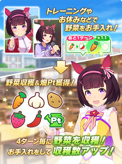 ���������꡼ No.008�Υ���ͥ������ / �Υץ쥤��ݡϡ֥���̼�׿��������ʥꥪ�ּ��ϥá���ʢ�á���˭���ספ���ڤΥ꥽�������������ס��� ��ԥץ쥤��ݡ��Ȥ�Ǻ�