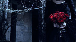 画像ギャラリー No.008のサムネイル画像 / 「ウマ娘」,最大80連ガチャ無料を含む「Gray Weekキャンペーン」を開始。アニメ「うまゆる ぷりてぃ〜ぐれい」の配信もスタート