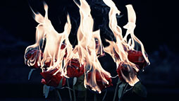 画像ギャラリー No.010のサムネイル画像 / 「ウマ娘」,最大80連ガチャ無料を含む「Gray Weekキャンペーン」を開始。アニメ「うまゆる ぷりてぃ〜ぐれい」の配信もスタート