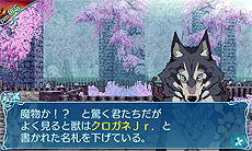 ���������꡼ No.016�Υ���ͥ������ / �����������µ�X�ס������ȡ֥ҡ������פΥ��ʥ������顼�侾�����礵��餸��֥����Ȥ�NPC���������о줹��Ũ�ξ��󤬸���