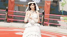 ꡼ No.022Υͥ / DEAD OR ALIVE 6פƱȯ䡣ʤɳƼDLCʲʤǤ֥ѥ1פ