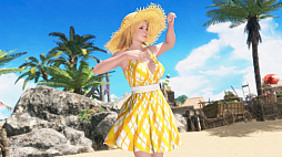 ꡼ No.015Υͥ / DEAD OR ALIVE 6סDLCĬ褰ޡԡפۿȡѥ2˴ޤޤ饯Ѱ