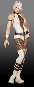 ꡼ No.030Υͥ / DEAD OR ALIVE 6פιθǤۿ222232֡饤Ρȥ󥯥ޥåɤ䥹ȡ꡼פʤɤץ쥤ǽѲǽ饯24̾