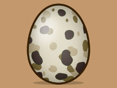 ���ޥ�������ꤲ�����������EGG in ONE�פ�Ҳ𤹤�֡ʤۤܡ��������ޥۥ������̿�����1823��