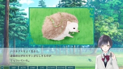 画像ギャラリー No.003のサムネイル画像 / 乙女ゲー初心者にオススメな「片恋いコントラスト」第3巻を紹介。教師と転校生,どちらを選ぶかはあなた次第!