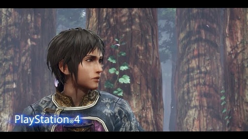 THE LAST REMNANT Remasteredץޥǥեåӥࡼӡ