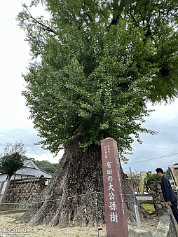 画像ギャラリー No.005のサムネイル画像 / 河津秋敏氏たちと巡る「ロマンシング佐賀2025」同行記(後編)。旅の最後に待っていたもの――それは最終決戦ではなく,終わりなき冒険の始まり