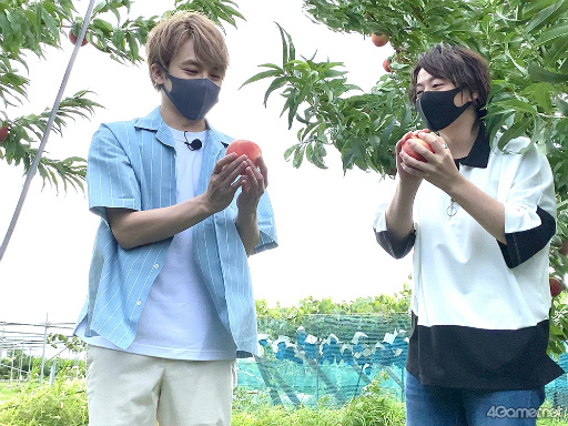 ꡼ No.014Υͥ / ֤󥹥ۿȡCAFE CINNAMON ˥å5ϿݡȡȽβǥե롼ĥݥĤ롪