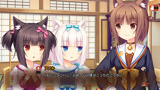 ���������꡼ No.010�Υ���ͥ������ / �֥ͥ��Ѥ� Vol.2������ͥ��Υ��奯��ס����ꥢ��ŵ�ǡ֥ͥ��Ѥ�Extra���ƥͥ���������«�פ���Ͽ