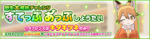 画像ギャラリー No.004のサムネイル画像 / 「けものフレンズ3」に新☆4フレンズ“マカミ”が登場