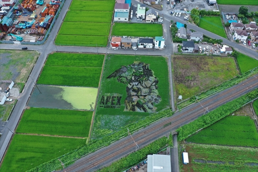 画像ギャラリー No.008のサムネイル画像 / 「Apex Legends」田んぼアートお披露目会レポート。色とりどりの稲で描かれた巨大ブラハが出現!