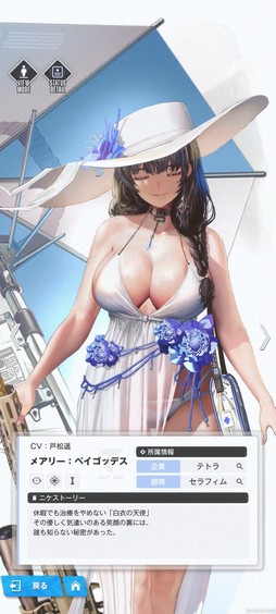 ���������꡼ No.008�Υ���ͥ������ / �Υץ쥤��ݡϡ־����ν�����NIKKE�פ˿��о�ο���֥ᥢ�꡼�ס֥ͥ���פϼ�Ǯ�����ɤΥܥ����Ф��ƶ����˥���