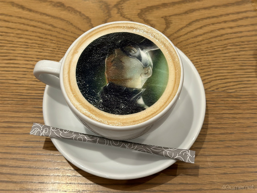 ꡼ No.015Υͥ / ֥å̡סTOWER RECORDS CAFE ɽƻŹݡȡܤ˳ڤ­Ͽ겼ܥοPVɬ