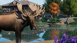 ꡼ No.005Υͥ / ưʪơޥѡĥPlanet ZooפˡƤưʪɲäNorth America Animal Packɤ꡼
