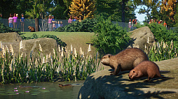 ꡼ No.006Υͥ / ưʪơޥѡĥPlanet ZooפˡƤưʪɲäNorth America Animal Packɤ꡼