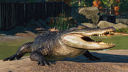 ꡼ No.007Υͥ / ưʪơޥѡĥPlanet ZooפˡƤưʪɲäNorth America Animal Packɤ꡼