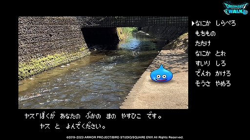 ꡼ No.010Υͥ / ֥ݡȥԥϢ³ͻפʪθǤ롣֥ɥ饴󥯥ȥפǿ͡ԡøϩ륳ܥ٥Ȥ