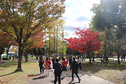 画像ギャラリー No.021のサムネイル画像 / 第5回「ドラゴンクエストウォーキング<東北>」&「ドラゴンクエストウォーク秋祭り」レポート。秋の仙台が「DQウォーク」で彩られた4日間。次回開催日も発表