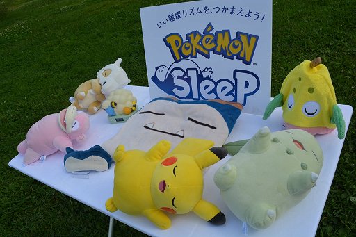 ꡼ No.026Υͥ / īݥο򸫤Τڤߤˤʤ롪Pok&#00233;mon SleepפǥפθƤ