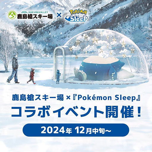 ꡼ No.001Υͥ / Pokmon Sleepסߡּ䥹ץܡ1214鳫š䤹̲륫ӥȼ̿򻣤֥ӥ󤪤䤹ߥɡפо