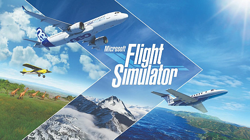 ꡼ No.002Υͥ / 褤Microsoft Flight SimulatorפXbox Series X˥إåɤΥ衼˥塼ޥ˥󥿥ӥ塼»