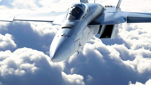 ꡼ No.004Υͥ / Microsoft Flight SimulatorפΡGame of the Year Editionɤ1118˥꡼F/A-18 Super Hornetʤɤо