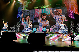 ꡼ No.018Υͥ / ˤ3ǯ˥С꡼󥰡NEOפȯɽ֥ץȥ 3rd Anniversary պס׸ݡ