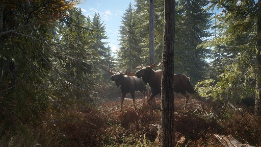 ꡼ No.002Υͥ / 4ǯץľΡ֥Сѥ2077פ55󥪥աtheHunter: Call of the Wildפ460ߡֺΤ٤ߥ
