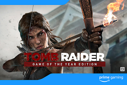 ꡼ No.003Υͥ / Amazon֥ȥ쥤פμ¼̥ɥ޲ȯɽץ饤Prime GamingǤϡTomb Raider: Game of the Year Editionפ̵