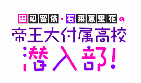 ꡼ No.005Υͥ / ϻڥǥƥåʥȡסYouTubeȡα͡Τ֤벦°⹻#27ɤ7132030ۿ