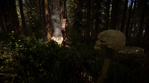 ꡼ No.002Υͥ / ϿͿ²ΤϤӤ붲ݤ硣The Forestȯˤ륵ХХۥ顼ACTSons Of The ForestפSteam