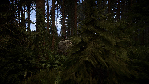 ꡼ No.003Υͥ / ϿͿ²ΤϤӤ붲ݤ硣The Forestȯˤ륵ХХۥ顼ACTSons Of The ForestפSteam