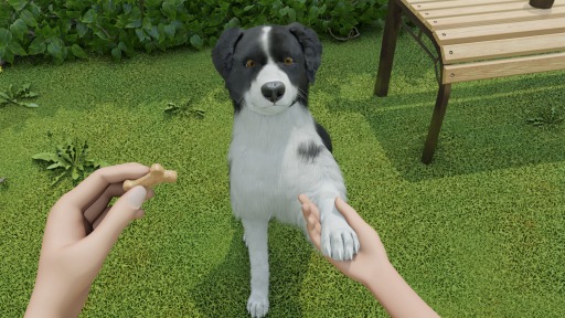画像ギャラリー No.001のサムネイル画像 / PC向け愛犬育成シミュレーション「Dog Trainer」が配信決定。トレーニング風景を収録したティザートレイラーを公開