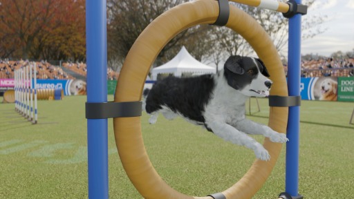 画像ギャラリー No.007のサムネイル画像 / PC向け愛犬育成シミュレーション「Dog Trainer」が配信決定。トレーニング風景を収録したティザートレイラーを公開