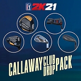 ꡼ No.004Υͥ / ֥ PGAĥ 2K21פˡBaller ǥɤо졣ԤȤ٤ƤDLC䥫ޥƥʤɤޤޤʥƥĤϿ