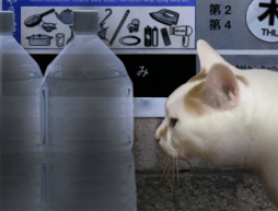 ���������꡼ No.006�Υ���ͥ������ / �ۥ顼������֤Ĥ��Τҡפ�Steam�Ǥ�8��13����ȯ����ꡣ����ե��å������ޥ���������������2�ĤΥ��ʥꥪ���ɲ�