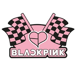 ꡼ No.017Υͥ / ֥ȥ饤 ɥեȡס䥭ɲä륢åץǡȤ»ܡBLACKPINKץ2ƤⳫ