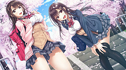 アイキス