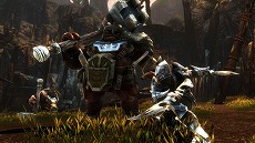 ꡼ No.004Υͥ / PS4ǡKingdoms of Amalur: Re-ReckoningפPS PlusԸե꡼ץ쥤