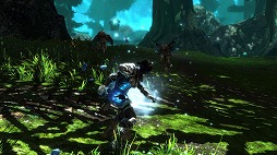 ꡼ No.011Υͥ / PS4ǡKingdoms of Amalur: Re-ReckoningפPS PlusԸե꡼ץ쥤