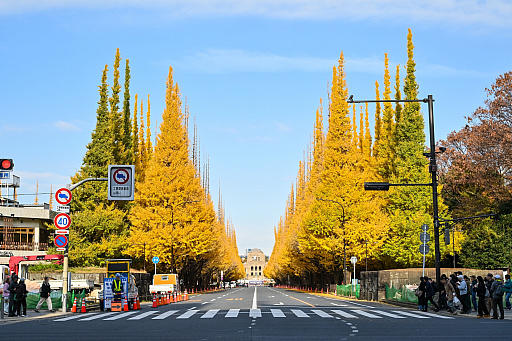 ꡼ No.003Υͥ / ġꥹ̾롼246פ⤯20ǯ꡼GT4ѤäꡤѤʤꡤƤ줫Ѥ