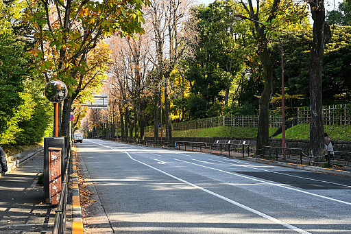 ꡼ No.008Υͥ / ġꥹ̾롼246פ⤯20ǯ꡼GT4ѤäꡤѤʤꡤƤ줫Ѥ