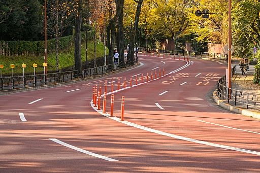 ꡼ No.011Υͥ / ġꥹ̾롼246פ⤯20ǯ꡼GT4ѤäꡤѤʤꡤƤ줫Ѥ