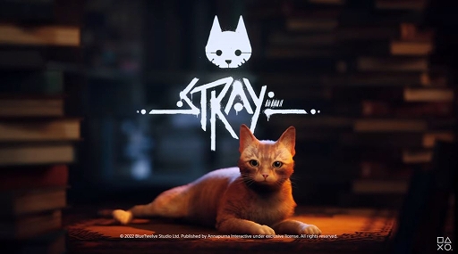 ꡼ No.001Υͥ / PS5/PS4ǡStrayפ719꡼ءǭˤʤäƥܥåã餹Сƥ򤯥ADV