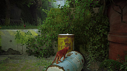 ꡼ No.009Υͥ / StrayפϡǭİΥǤϤʤǭȤƤޤ褤ͤȤƻ׹ͤɴСŪѤɽ餷ɥ٥㡼