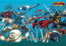 画像ギャラリー No.009のサムネイル画像 / Switch版「カニノケンカ -Fight Crab-」が本日発売。挿入歌2曲の歌詞付きMV(ショートVer.)が公開