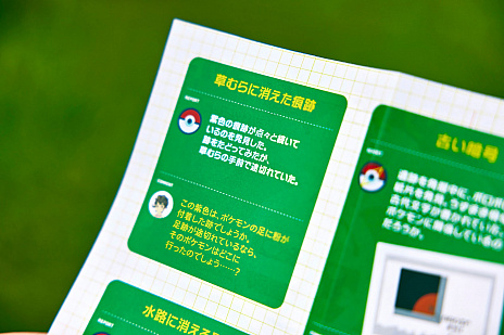 ꡼ No.018Υͥ / θɥ٥㡼Pok&#233;mon WONDERפ717ˤߤ˥ץ󡣼˱Ƥ50ʾΥݥõ