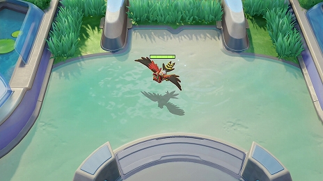 ꡼ No.077Υͥ / Pok&#233;mon UNITEפSwitchǤ7ޥǤ9ۿ62426˥ͥåȥƥȤ»