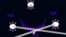 ���������꡼ No.016�Υ���ͥ������ / ��Υ����������˼�ͳ�˿����ɤ롣���ܤΤ褦�ʥ���ե��å������İ�����Chicory: A Colorful Tale�פΥ���ץ�å������Ϥ�