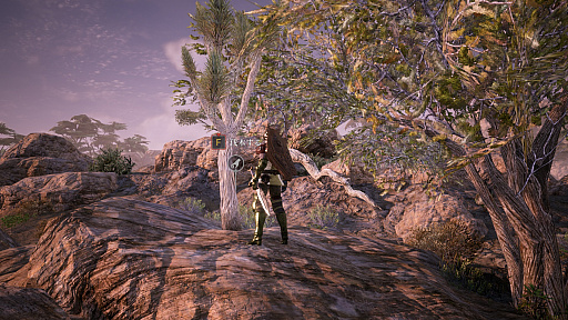 ꡼ No.002Υͥ / MMORPGBLESS UNLEASHEDפΥƥĥɡȵʺνʪɤư褬